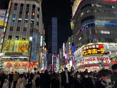 -秋叶原电器街