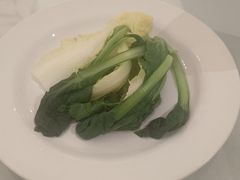 -裕龙汤泉