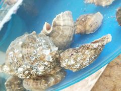 -晓伟海鲜家常菜