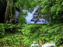 -大鄣山卧龙谷景区