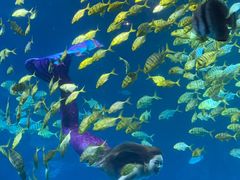 -太平洋海底世界