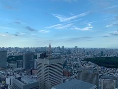 -东京都厅舍