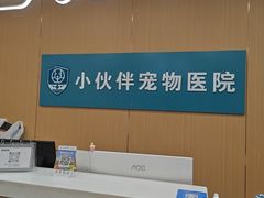 -小伙伴宠物医院•急重症转诊中心·老年专科·犬猫全科(北大街总院)