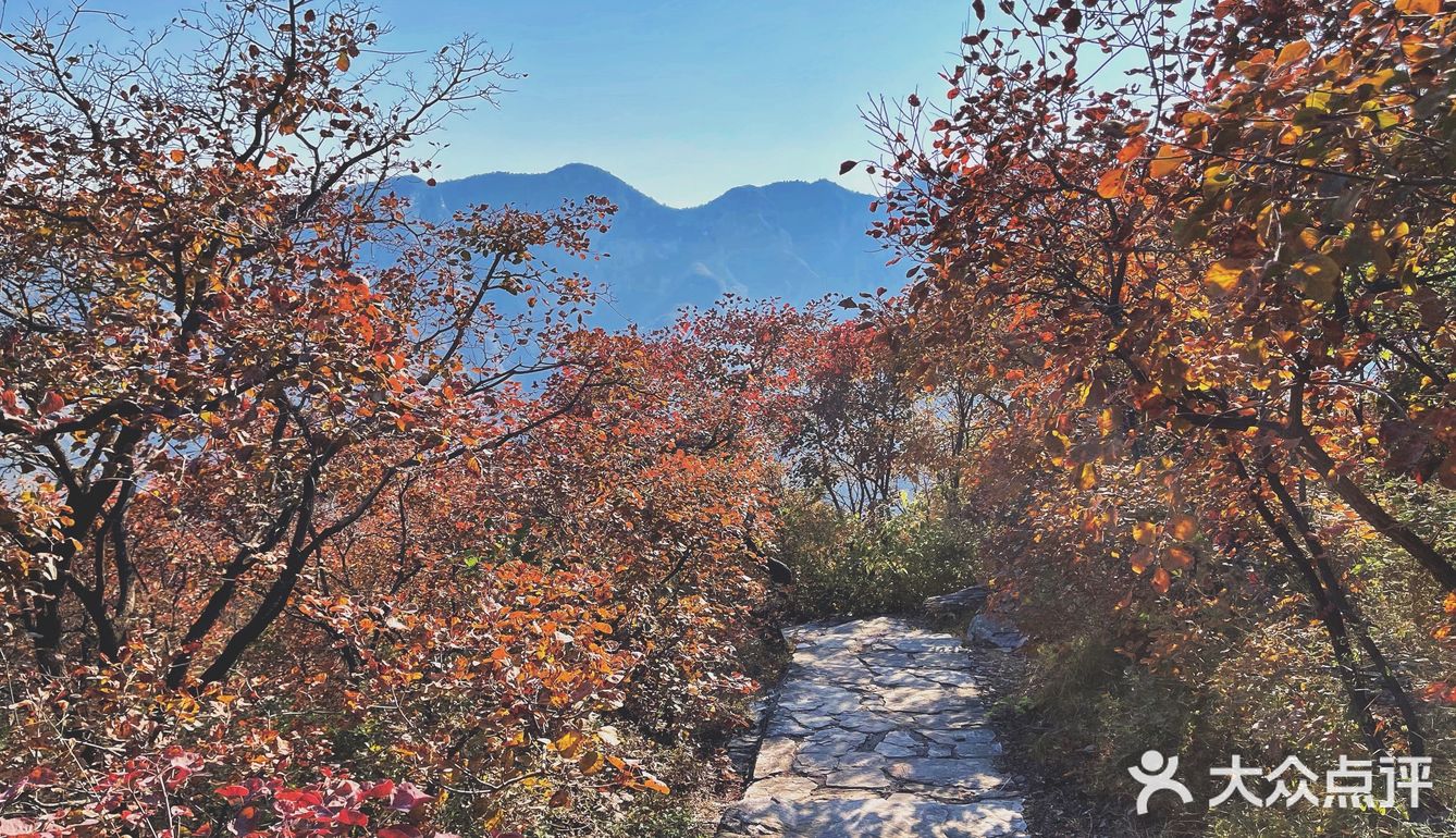 🍁赏红叶啦！