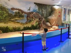 -金钉子远古世界景区