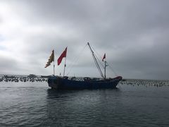-枸杞岛