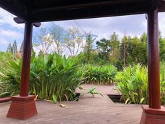 -长田漾湿地公园