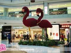 -凯德广场(学府店)