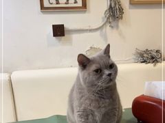 -小时光咖啡馆(北锣鼓巷店)