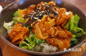 Pork and Chicken Mixed Rice