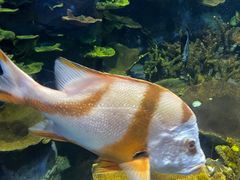 -青岛海底世界-水族馆