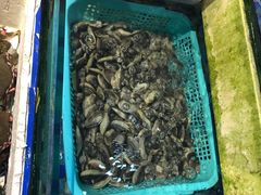 -202特色排档(五缘湾店)