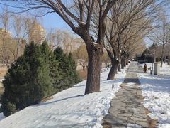 -元大都城垣遗址公园