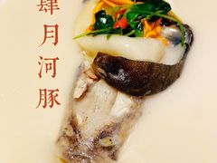 东坡河豚-肆月河豚·新淮扬(金融街店)