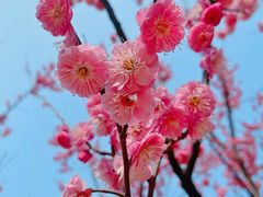 -西北湖绿化广场