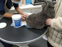 -萌兽医馆·宠物医院·猫骨科(创景店)