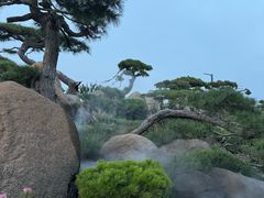 -罗红摄影艺术馆