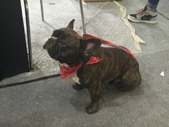 -东浩兰生上海世博展览馆