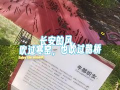 -西安曲江寒窑遗址公园