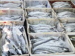 -芦潮港集贸市场