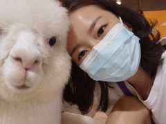 -风云再起游乐汇(北京西单西西友谊店)