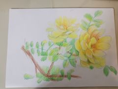 -八哥美术·成人美术画室(总校区)