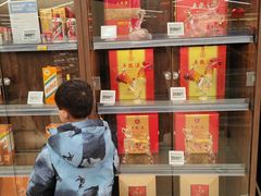-盒马X会员店(王府井奥莱UP TOWN店)