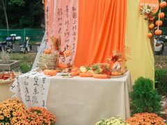 -浙江农林大学(东湖校区)