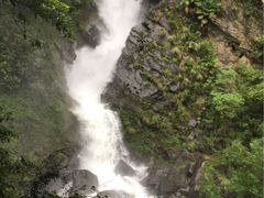 石台牯牛降-石台牯牛降景区