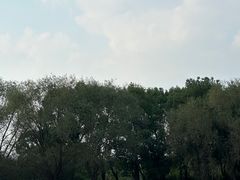 -苏州太湖国家湿地公园