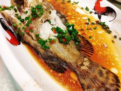 清蒸石斑鱼-龙泉海鲜酒楼(龙昆南路店)