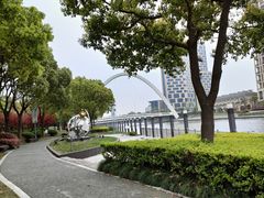 -陈家山荷花公园
