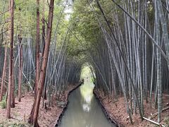 -同里国家湿地公园