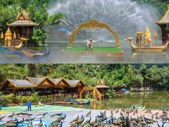 -西双版纳原始森林公园