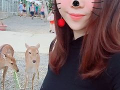 -鹿境梅花鹿生态园区