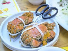 -品鲜村农家菜·阳澄湖大闸蟹(总店)