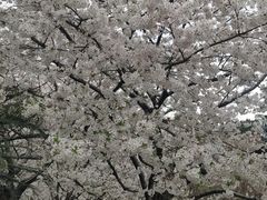 -上海体育场(地铁站)