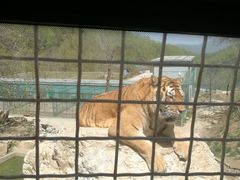 -栾川竹海野生动物园