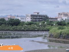 -盐洲岛