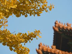 -故宫博物院(故宫)