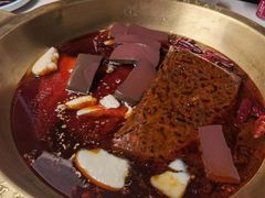 -矮冬瓜红茶火锅