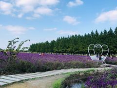 -嘉北郊野公园