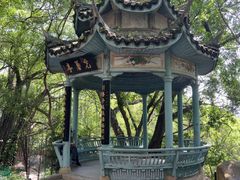 -乌山风景区