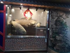 -齐海鱼圣深海石斑鱼火锅店(极地海洋世界店)