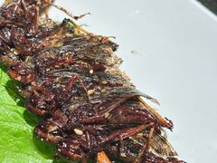 -老万烧烤(典逸心洲店)