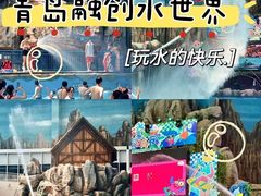 -青岛东方影都融创水世界