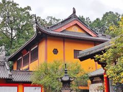 -灵谷景区