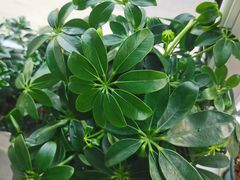 -三旗百汇商品城