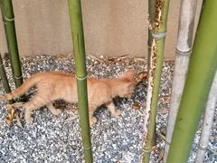 -万寿八仙宫