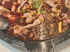 -大江美蛙鱼火锅(都江堰店)